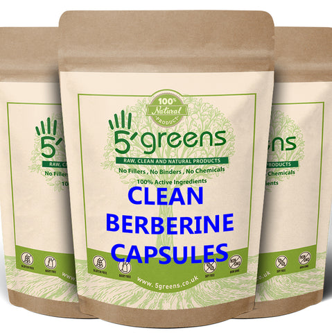 Elderberry capsules 500mg 10:1 Equivalent to 5000mg Per Capsule