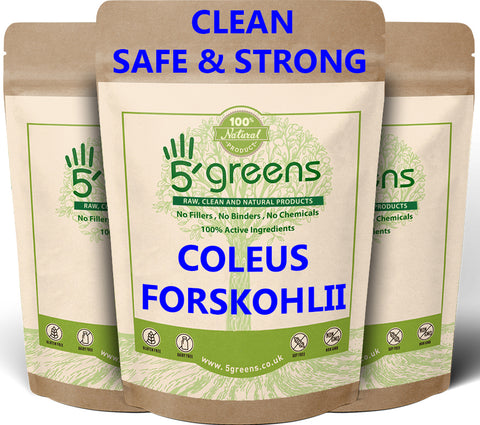 Coleus Forskohlii Extract Capsules 500mg 10:1 50mg Forskolin