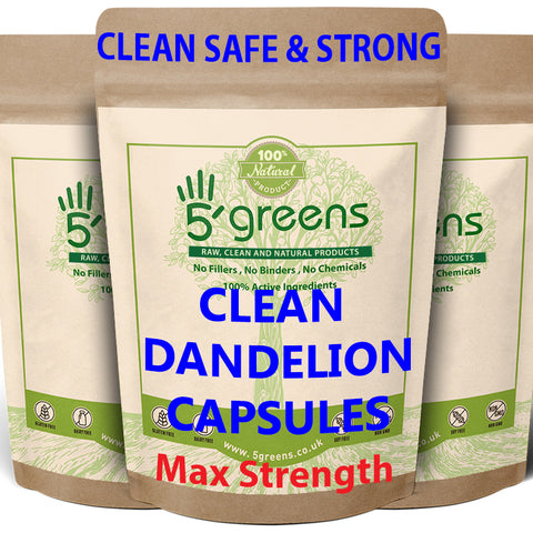 Dandelion Root Capsules 6500mg ( 650mg 10:1)