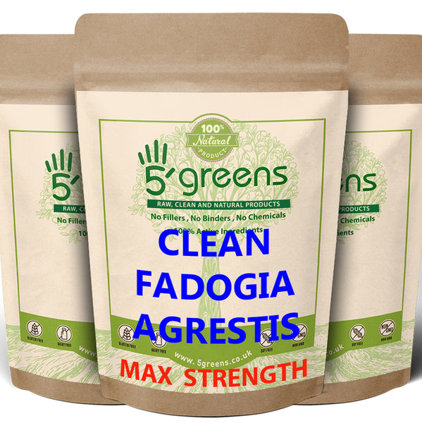 Fadogia Agrestis 600mg 10:1 ( 600mg) Vegan Capsules