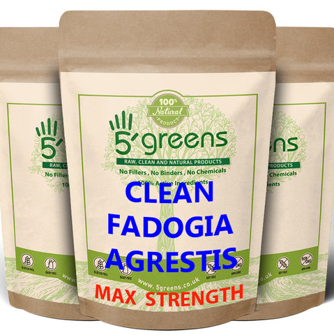 Fadogia Agrestis 600mg 10:1 ( 600mg) Vegan Capsules