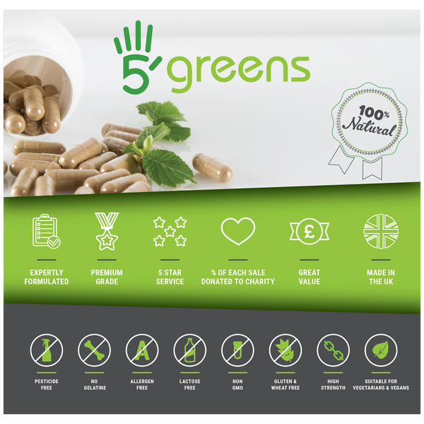 Blueberry 6000mg Capsules ( 600mg 10:1 )
