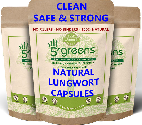 Lungwort Extract 6500mg ( 650mg 10:1)