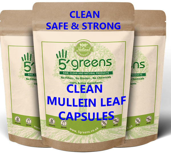 Mullein Leaf Extract 5000mg Capsules