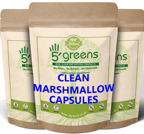 Astragalus Extract 600mg 10:1