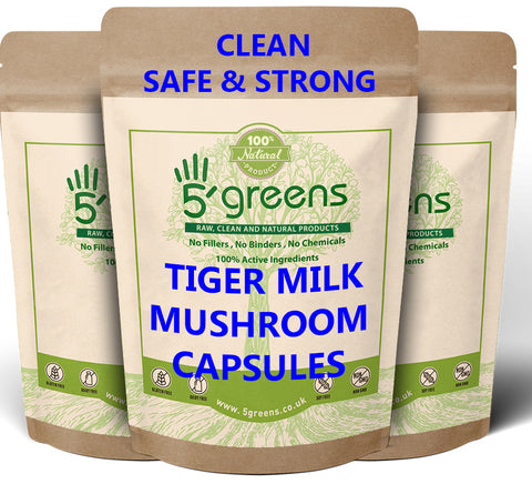 Astragalus Extract 600mg 10:1