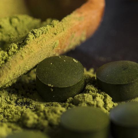 Chlorella Tablets 500mg Tablets