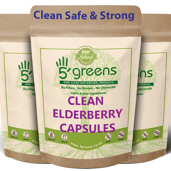 Elderberry capsules 500mg 10:1 Equivalent to 5000mg Per Capsule