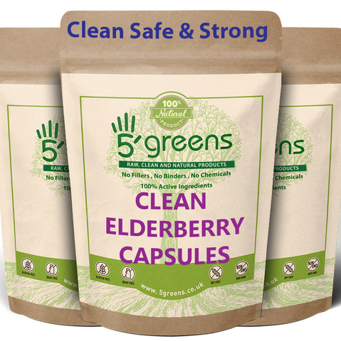 Elderberry capsules 500mg 10:1 Equivalent to 5000mg Per Capsule