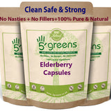 Elderberry capsules 500mg 10:1 Equivalent to 5000mg Per Capsule