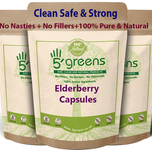 Elderberry capsules 500mg 10:1 Equivalent to 5000mg Per Capsule