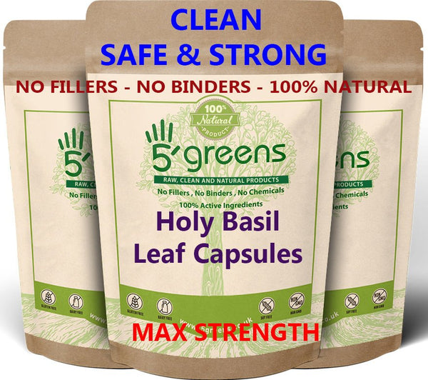 Holy Basil Leaf Tulsi Veg 500mg 10:1