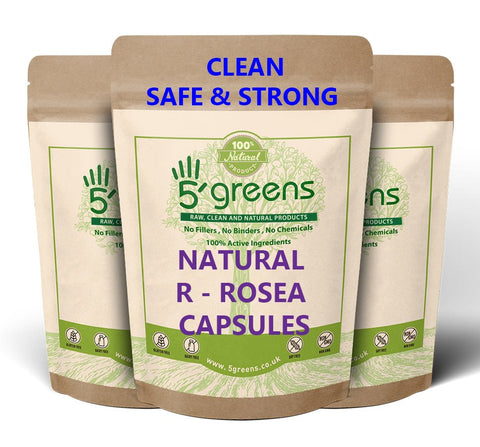 Rhodiola Rosea Capsules