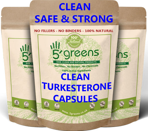 Turkesterone ( Ajuga Turkestanica extract ) 650mg 20:1