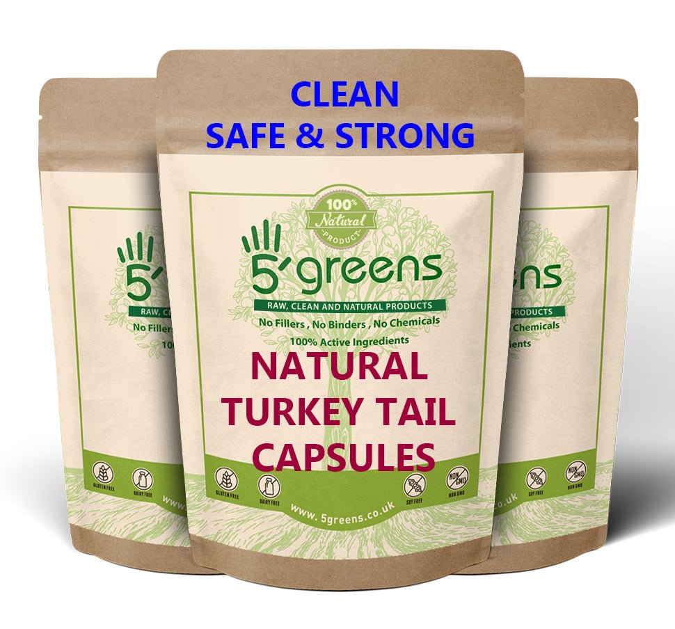 Turkey Tail Mushroom Extract Capsules 10,000mg - 150mg Polysaccharides