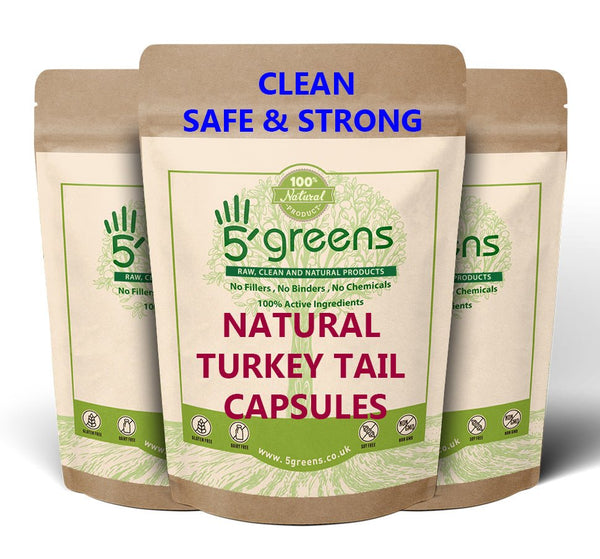 Turkey Tail Mushroom Extract Capsules 10,000mg - 150mg Polysaccharides