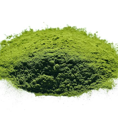 Wheatgrass Powder