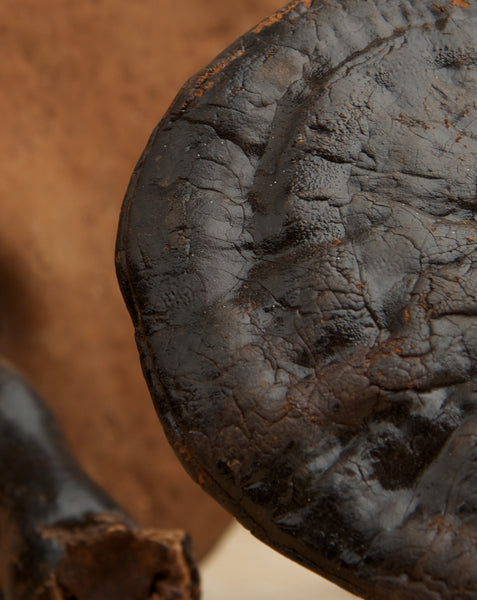 Organic Reishi Mushroom Powder | 5Greens Superfoods