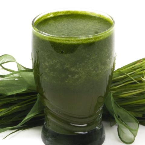 Wheatgrass Powder
