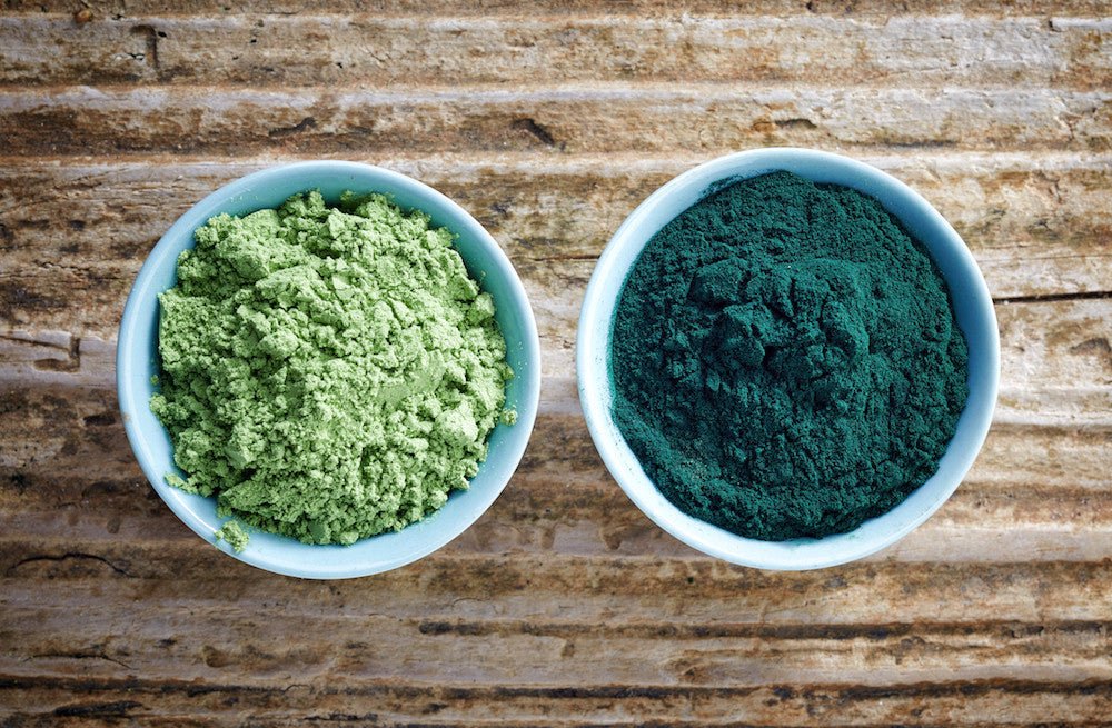 Shymkent-Based Plant to Produce Green Algae Superfoods Spirulina, Chlorella