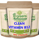 Vitamin B12 - Methylcobalamin 1,000 ug B12 500mg Acerola Cherry 140mg Vitamin C