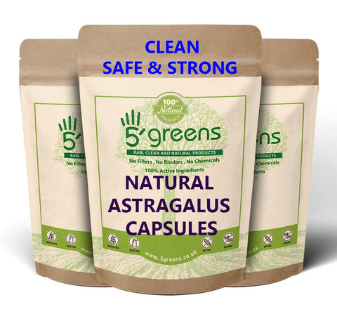 Astragalus Extract 600mg 10:1