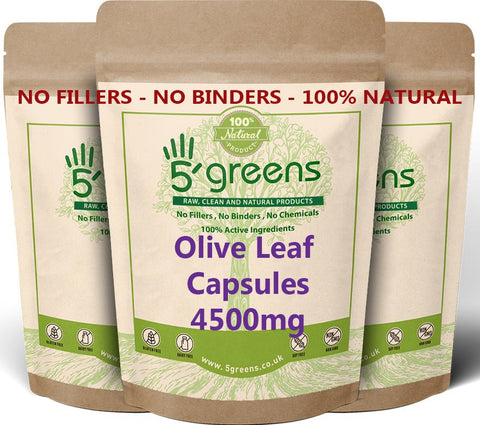 Olive Leaf Extract Capsules 450mg 10:1 40% Oleurpein