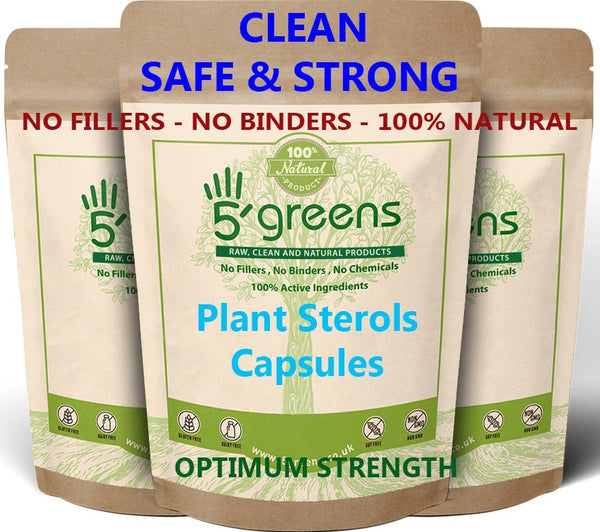 Plant Sterols 600mg 95% Phytosterol Capsules