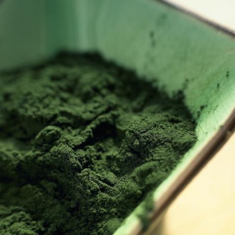 Spirulina Powder